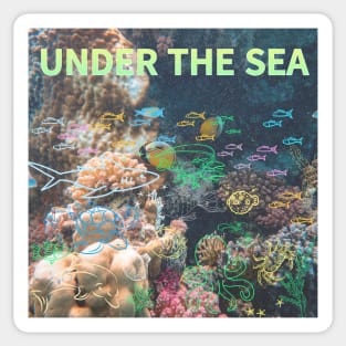 under the sea,blue sea,sea creatures,Turtle, puffer fish, starfish, shrimp, shark, tropical fish, sea horse, seaweed, sardines, squid, crabs, clams Sticker